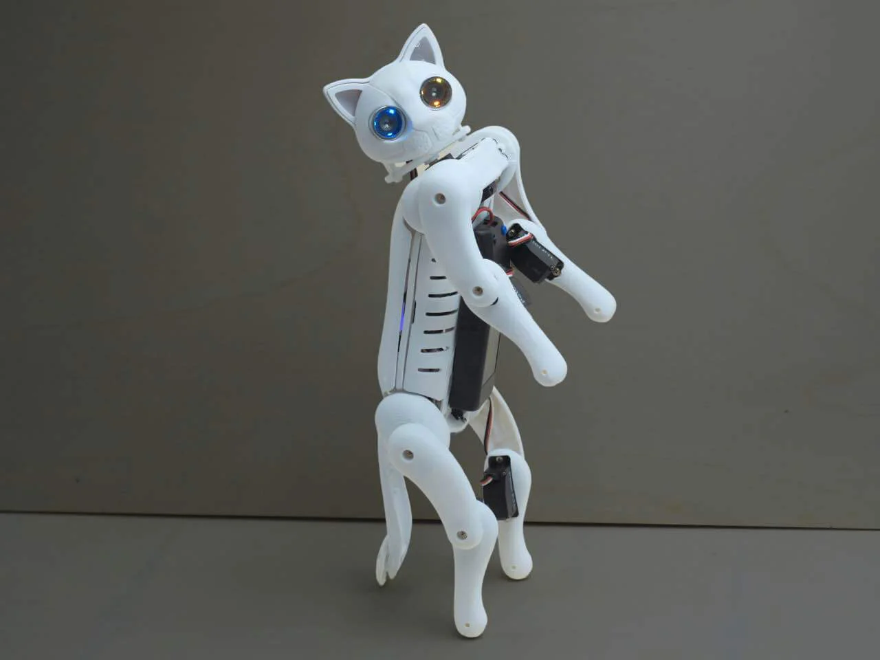 Robotic Cat Nybble Q Coding Robot Cat | Petoi - Image 12