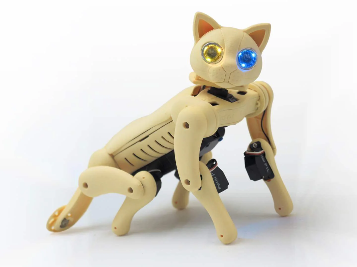 Robotic Cat Nybble Q Coding Robot Cat | Petoi - Image 5