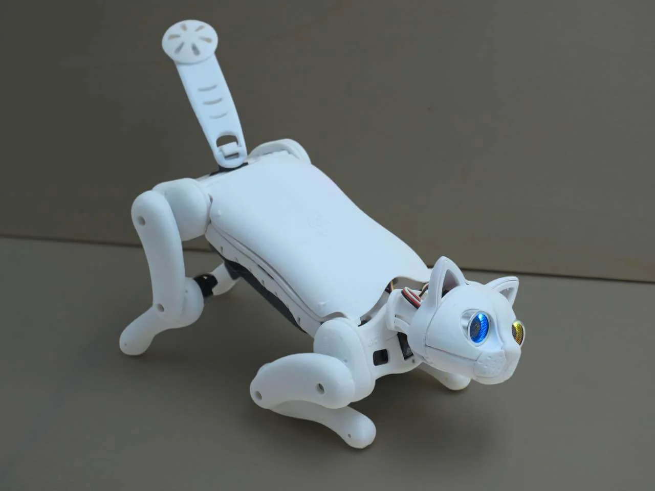 Robotic Cat Nybble Q Coding Robot Cat | Petoi - Image 9