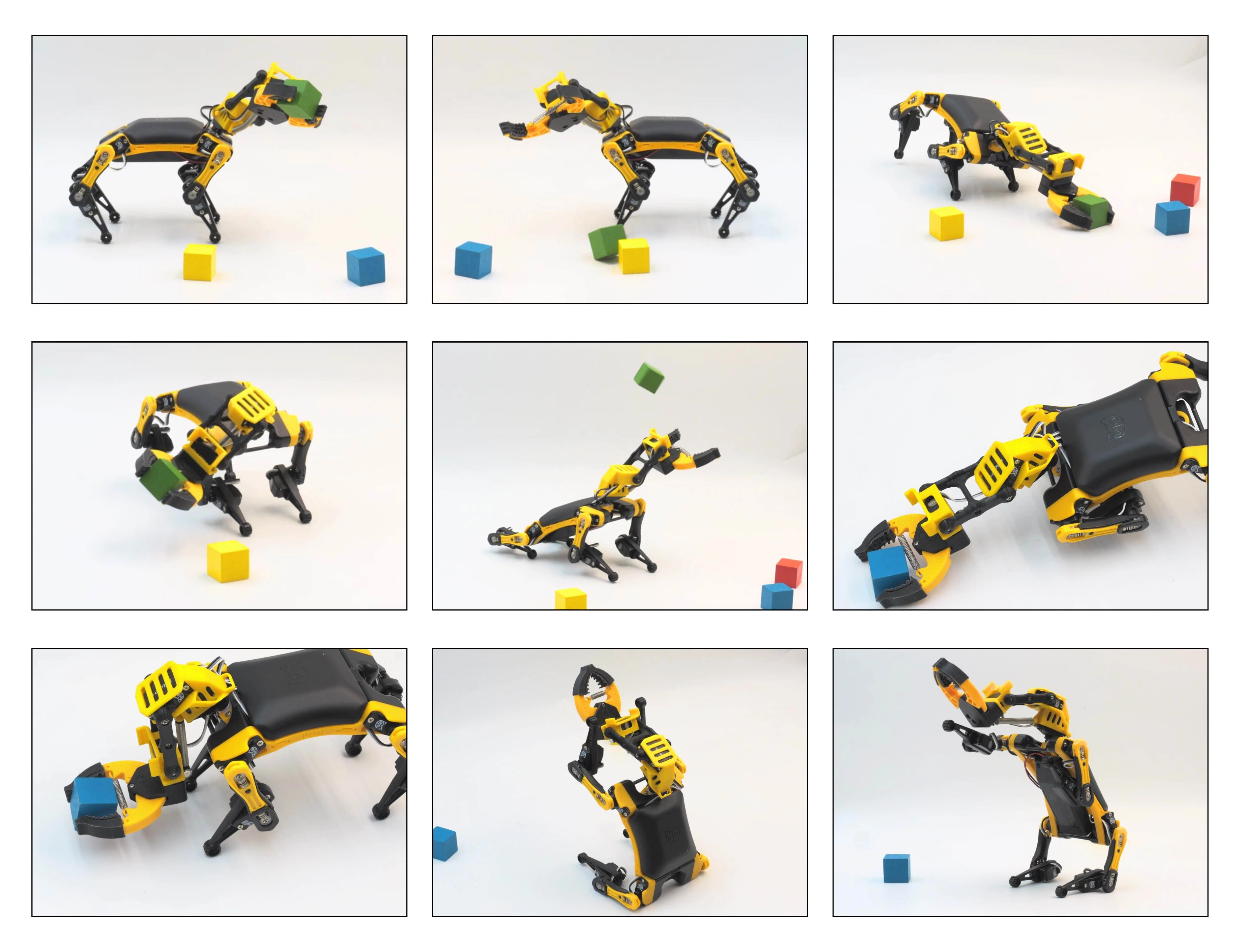 Robo Dog Bittle X | A Coding Robot | Petoi - Image 11