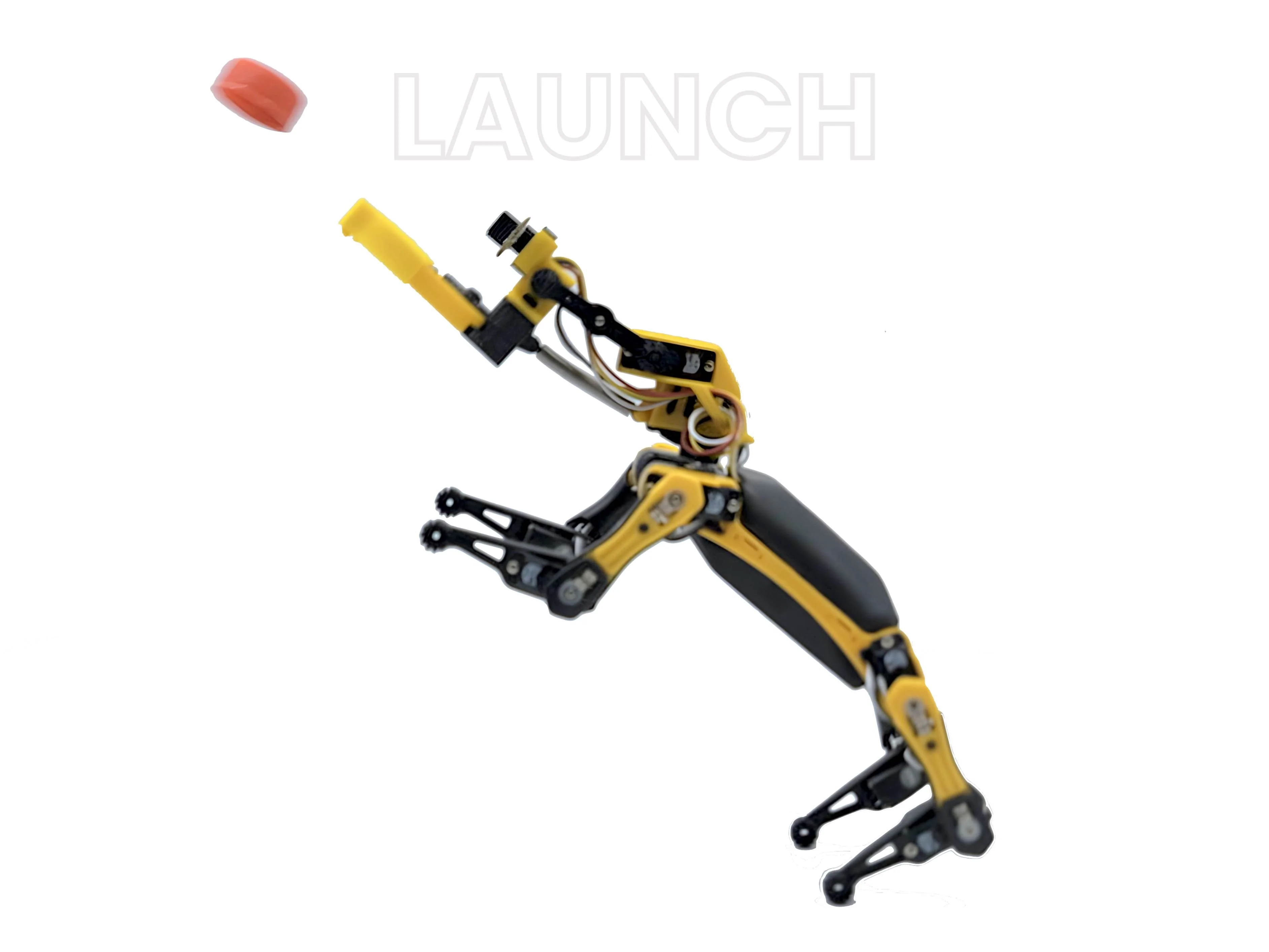 Robo Dog Bittle X | A Coding Robot | Petoi - Image 13